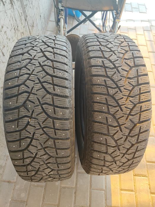 Зимние шины Bridgestone