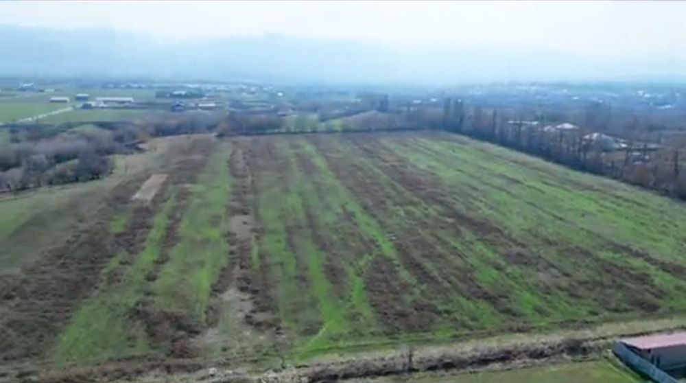 Кумтоган , участок , жер