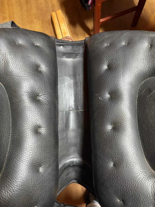 Șa de echitație show