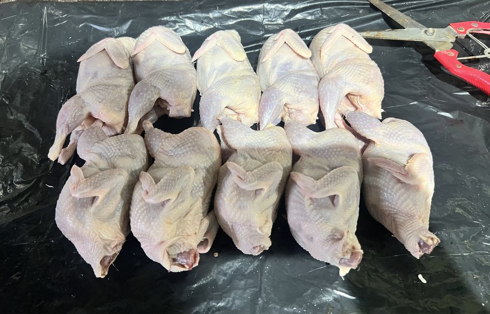 Перепелка мясо, яйцо