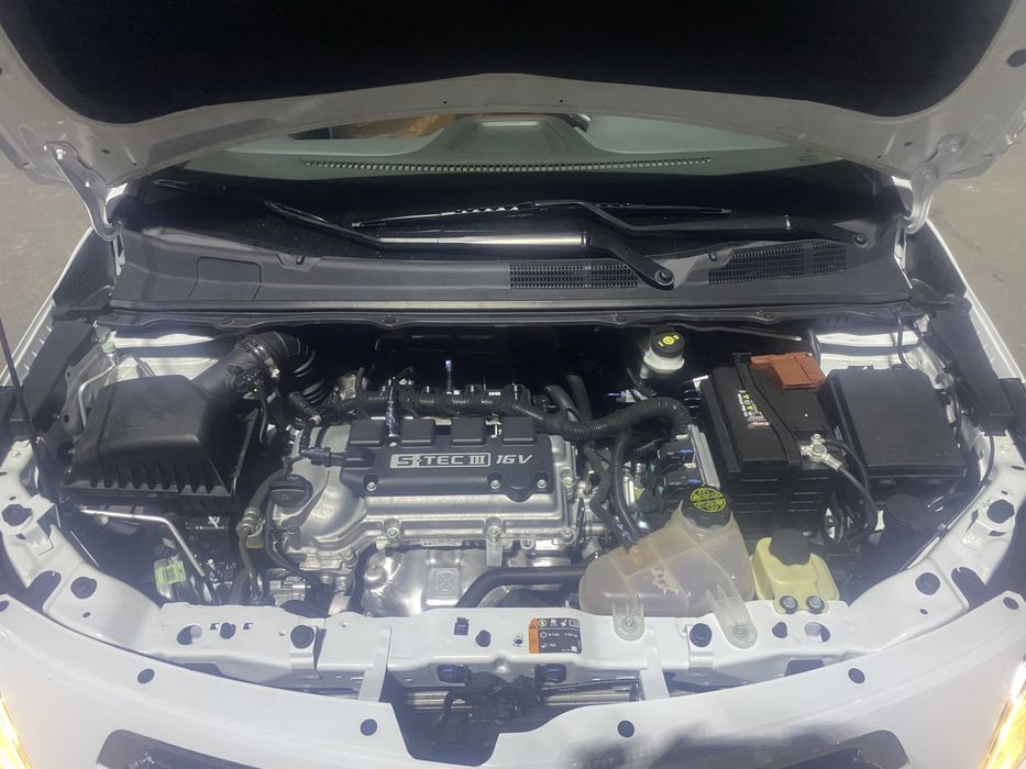 COBALT 2023 краска тоза 100%