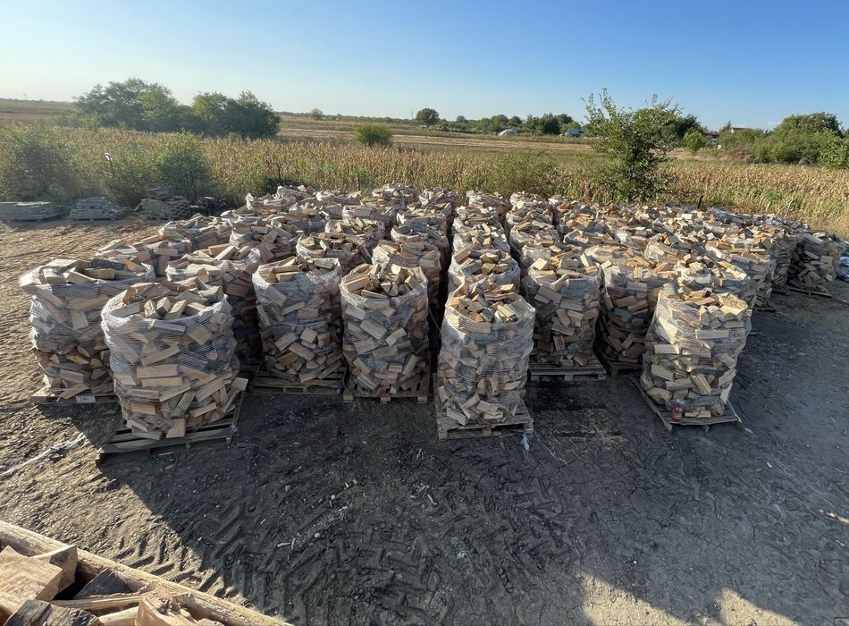 Vand lemne de foc Fag-Spart