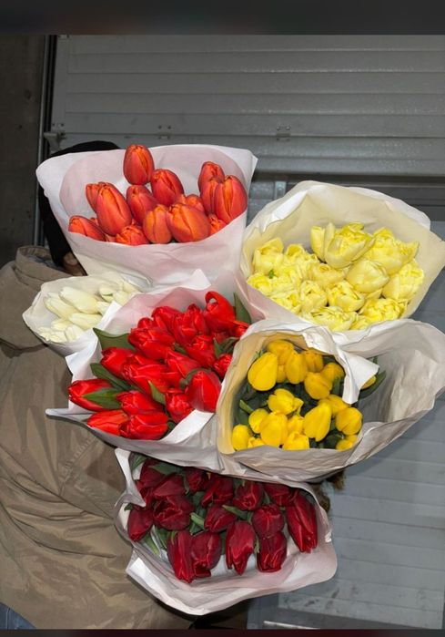 Тюльпаны 700тг доставка бесплатно от 50 шт