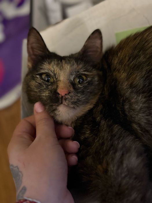 Только ответственным