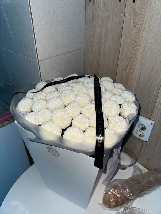 Цветы 51 штука новын