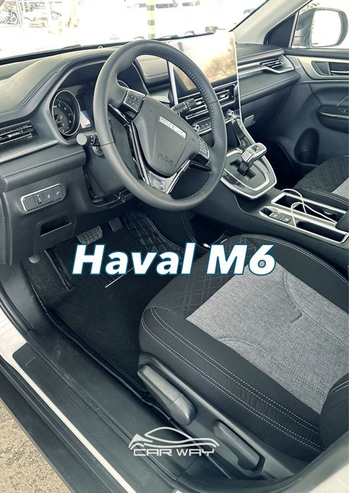 9D polik / коврики для Haval M6