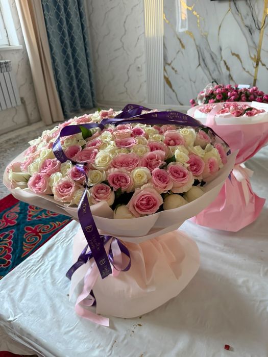 151 роза              .