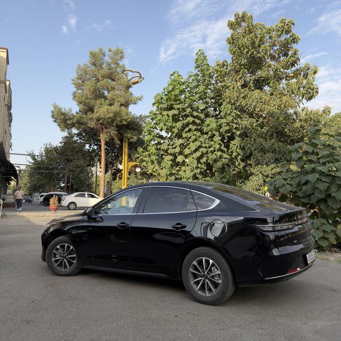 Byd chazor 55km 1позиция
