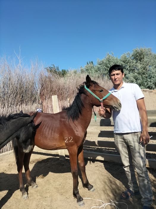 Үлкен, тәтті әйелдердің порнофотосуреттері