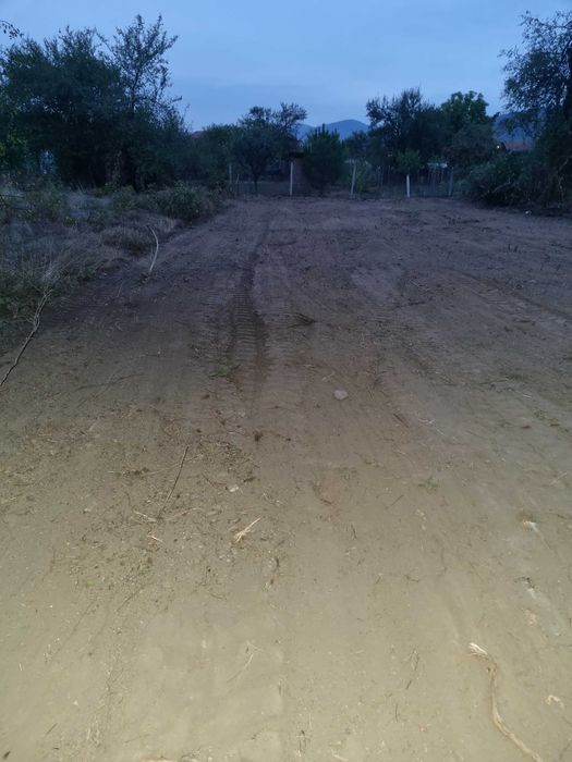 Професионални градинарски услуги
Предлагаме: