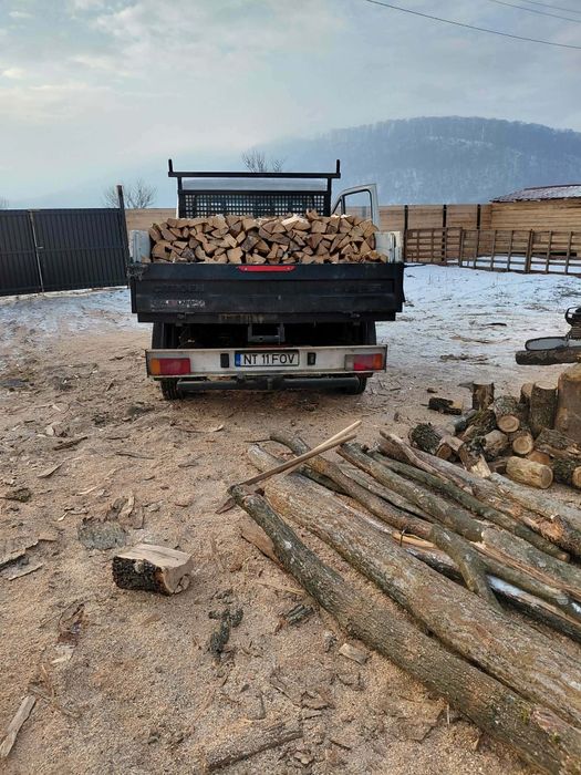 Vând lemne de fag esență tare  verzi uscate !!!