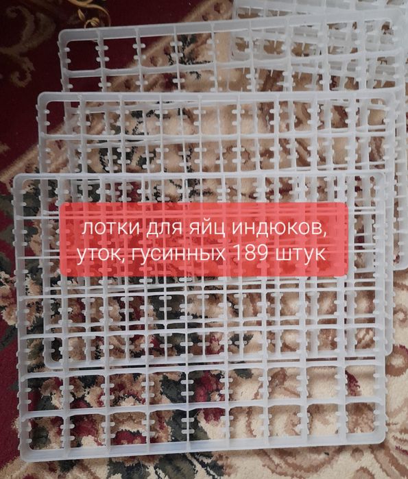 Продам Инкубатор