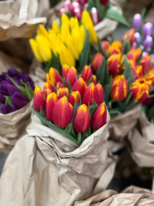 Тюльпаны для корпоратива