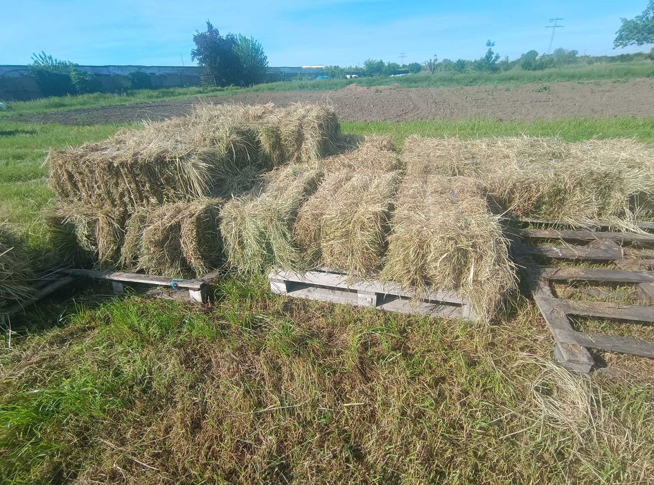 Vând fân de iarbă cu 20% lucernă - baloți dreptunghiulari