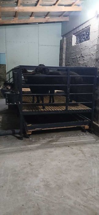 Qo'yxona, qo'ylar uchun alohida yashash joyi