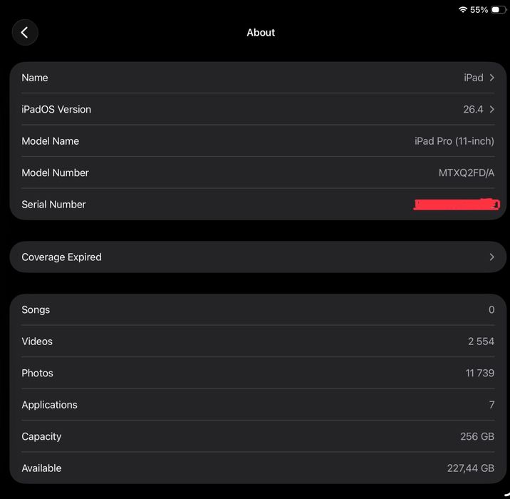iPad Pro 11 inch 1st Gen 256GB