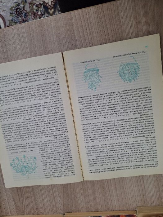 Книга Комнатные Растения в Интерьере