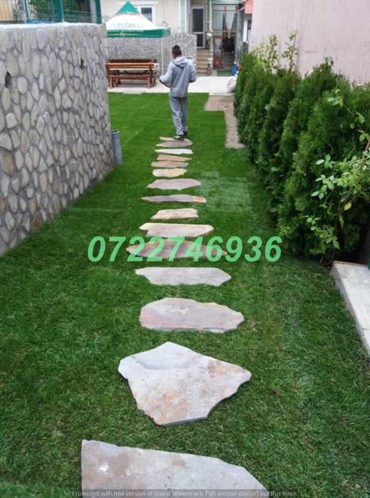 Gazon Natural cu Prindere Rapidă și Aspect Premium