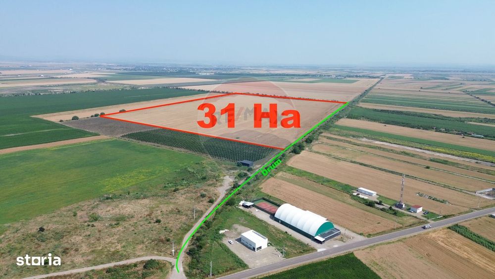 Teren 31HA patrat la drum Vanatori