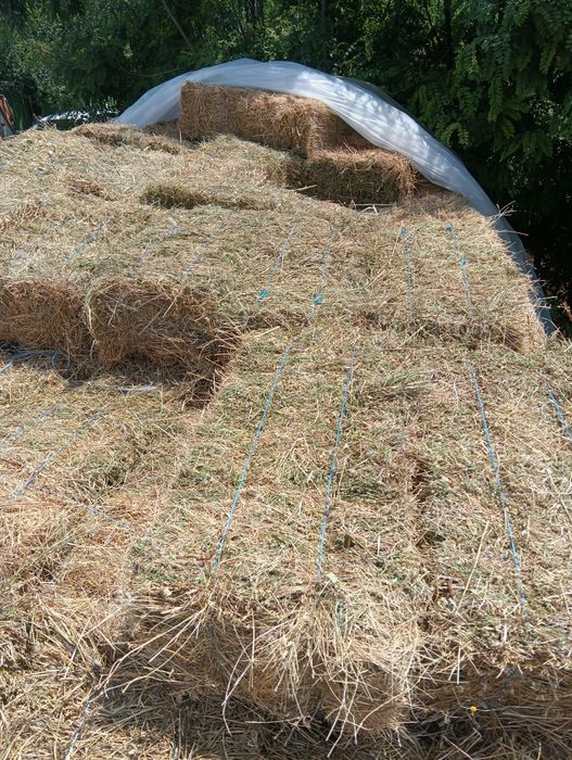 Baloți de lucernă