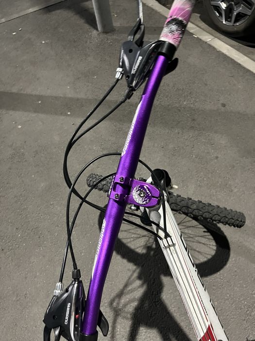 Кастомный Centurion R Bock 24’’