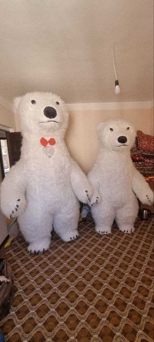 Ayiqlar sotiladi srochna