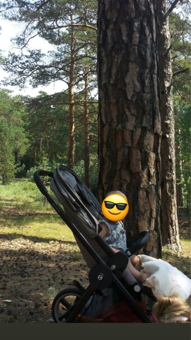 Прожам коляску сайбекс балиос. Cybex Balios m