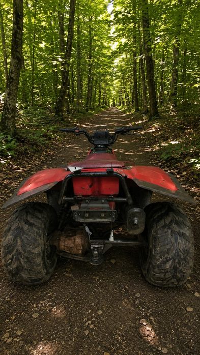 Atv Kawasaki Klf300