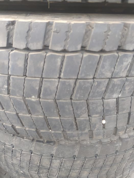 Гуми 285/70-19.5 Континентал задни