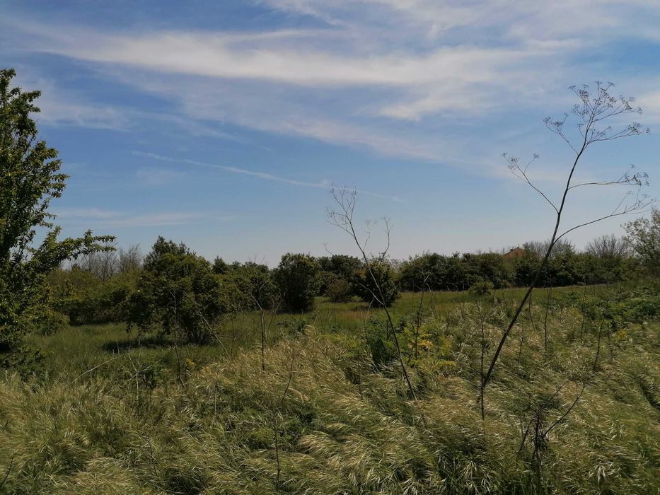 Парцел дворно място община Шабла, село Тюленово