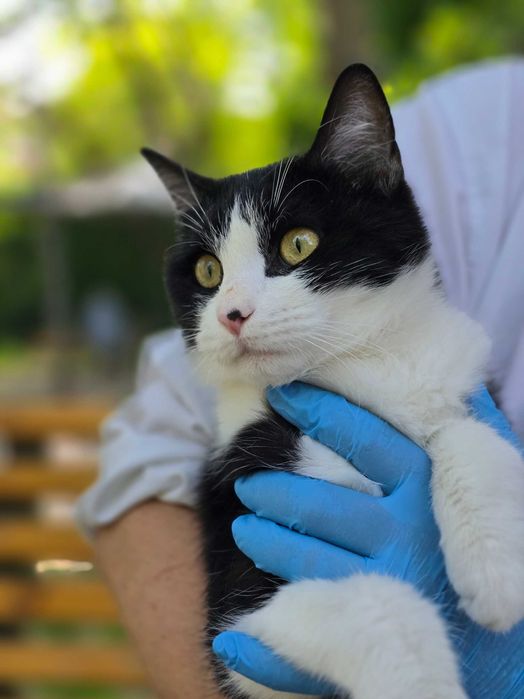 Особенный красавчик Мурзик ищет любящую семью