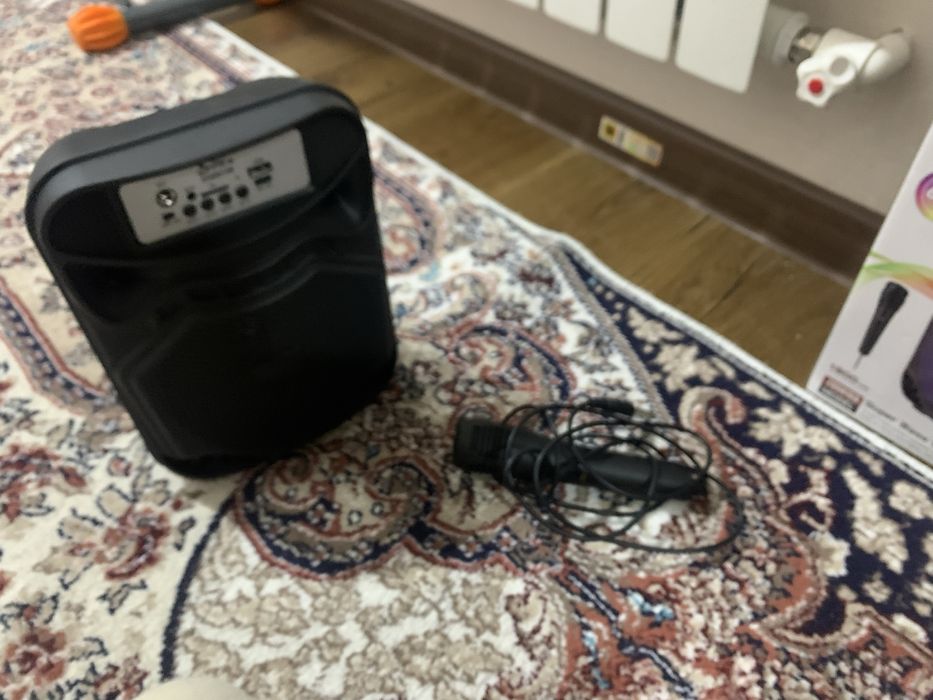 Колонка с микрофоном