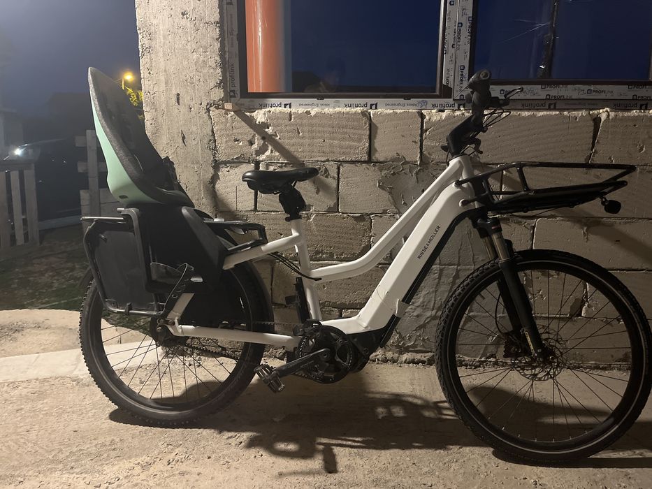 Bicicletă Electrică (Riese & Müller)