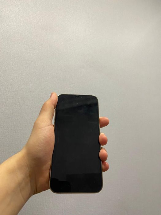 Обменяю 12 про макс