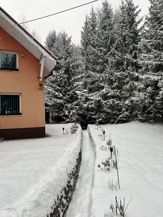 Cabana de inchiriat Bistra Muresului!