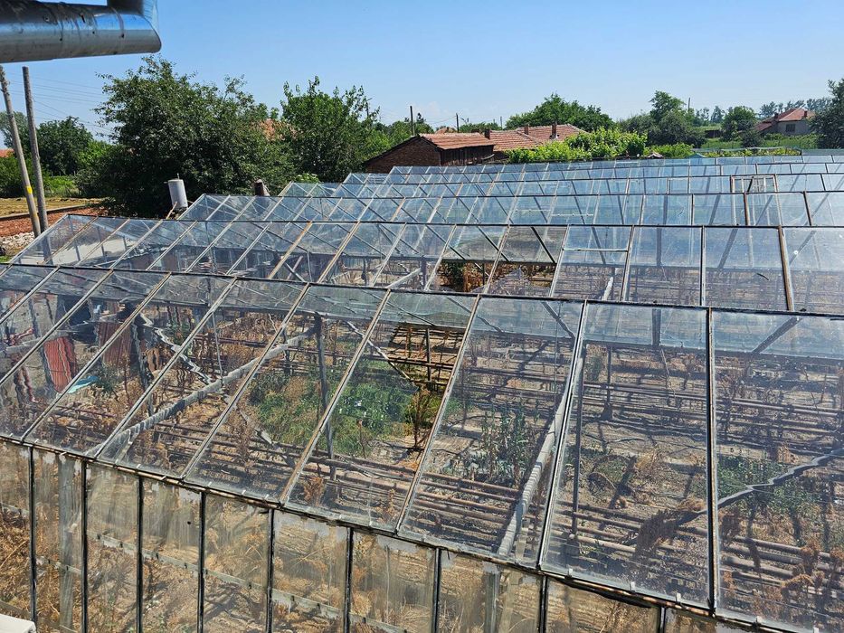 Продава се стъклена оранжерия