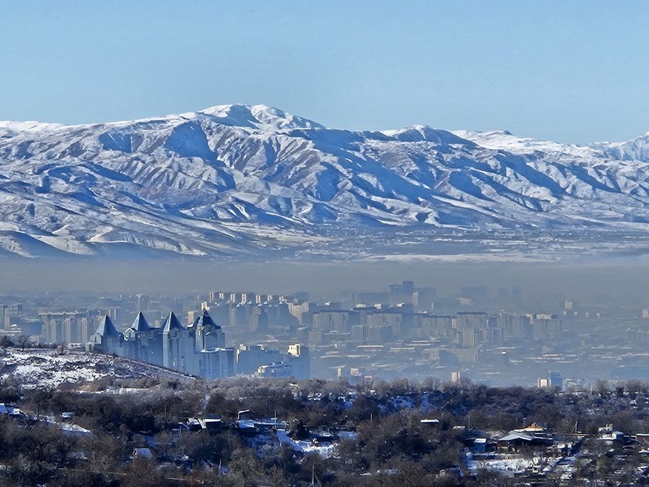 Земельный участок