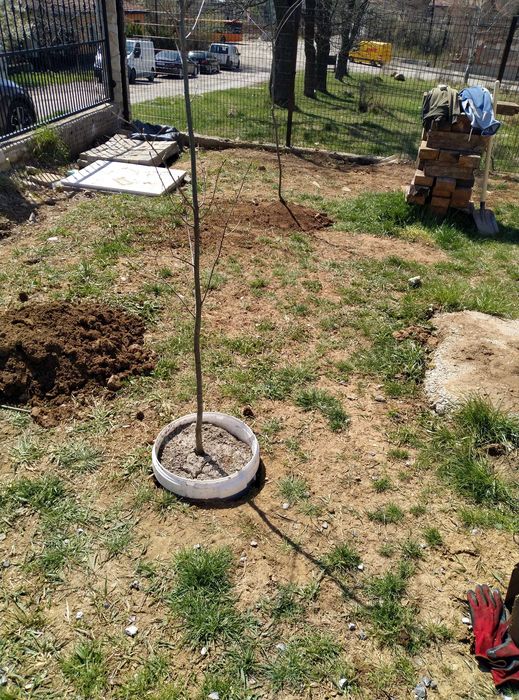 Копам дупки за ограда или дръвчета