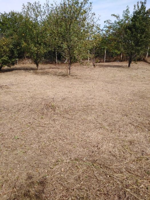 От 1лв на кв.м разчиства буренясали вили