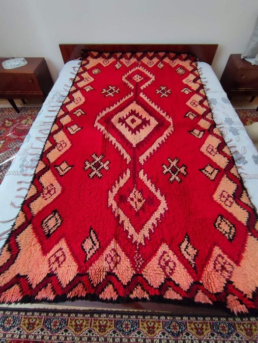 Китеници различни