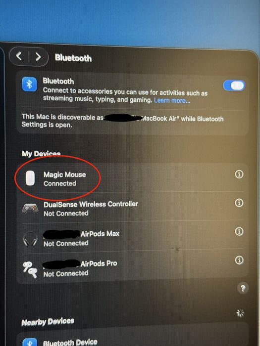 Magic Mouse 1 на батарейках