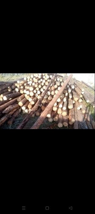 Жерди от 6 до 15 разнабой