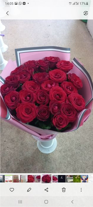 Гүлдер,тюльпаны розы хризантемы лилии герберы гипсофила орхидея