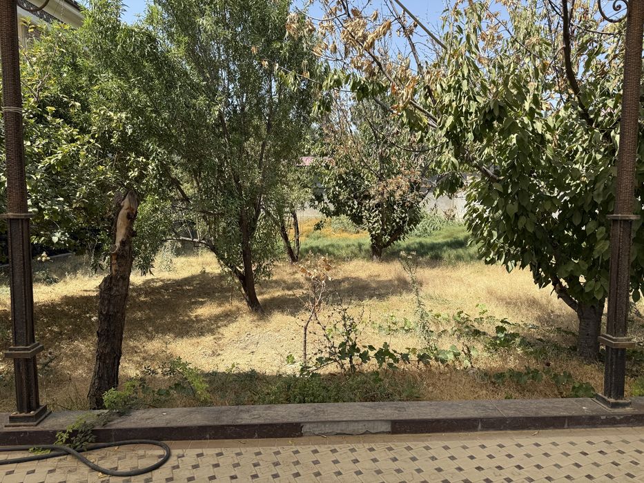 5 соток в Алмазарском районе документы и кадастр есть, без посредников