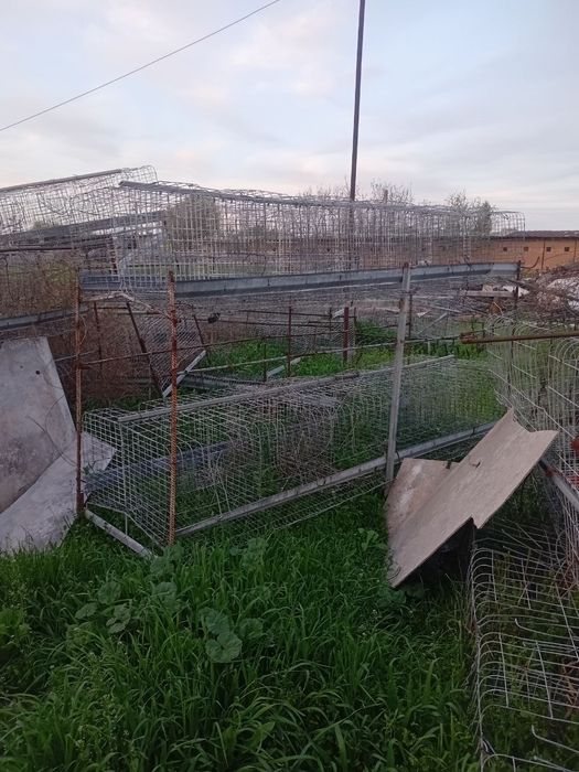 Tovuq boqishga setka