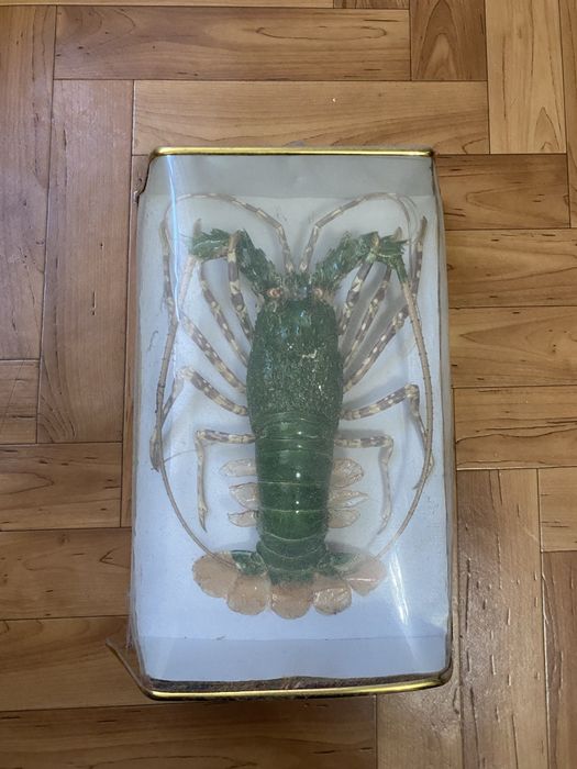 Лангуст высушенный для дизайна, декора