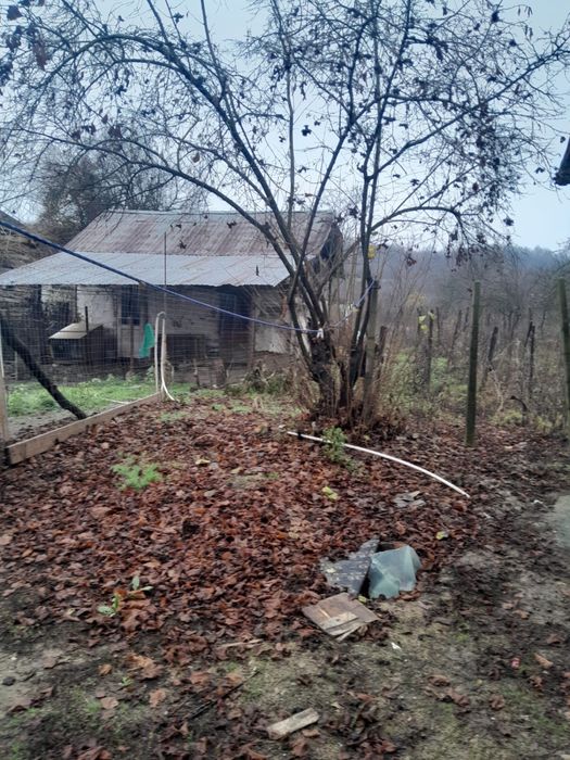 Casa de vanzare la tara