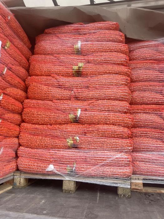 Arpagic galben stuttgarter