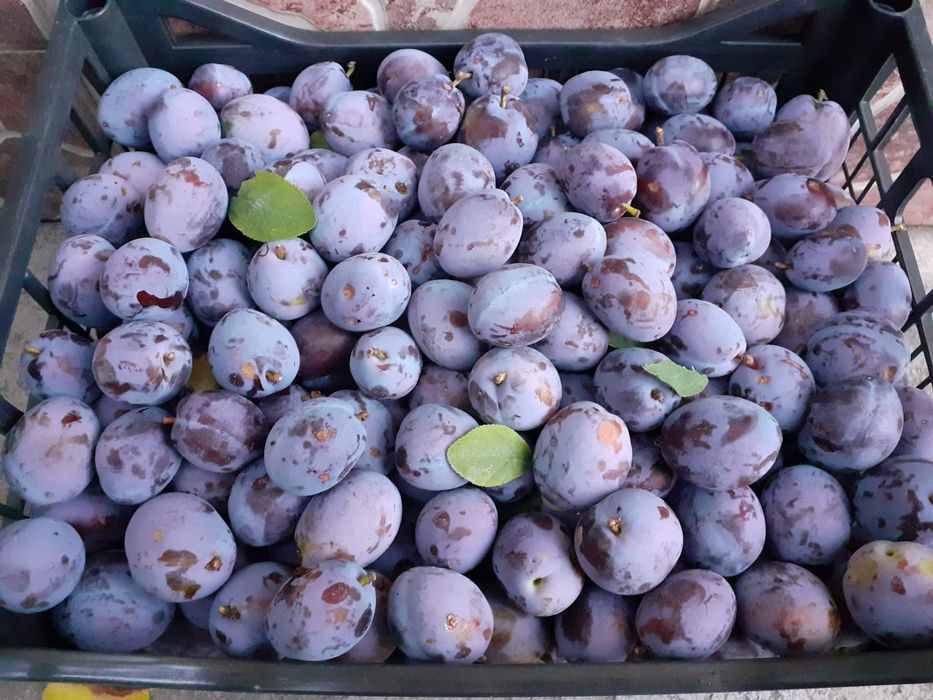 Prune direct din livada