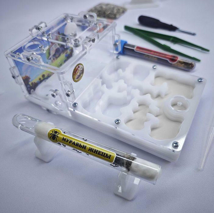 ГИПСОВЫЙ Формикарий "START" ||| Муравьиная ферма - Муравьи жнецы